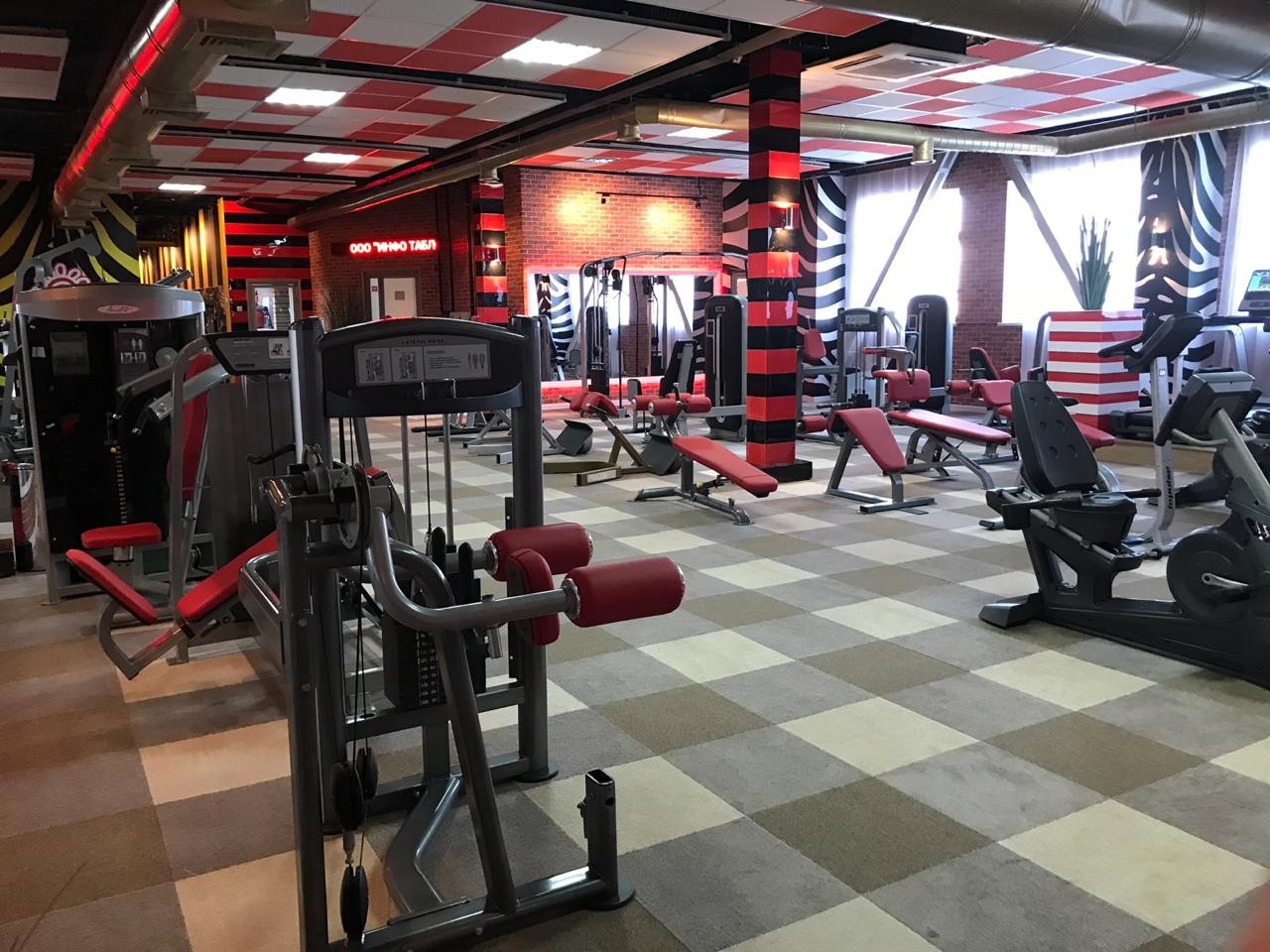 Фитнес-клуб у метро «ЧЕРКИЗОВСКАЯ/ЛОКОМОТИВ»: услуги, расписание, тренеры  – «Зебра»