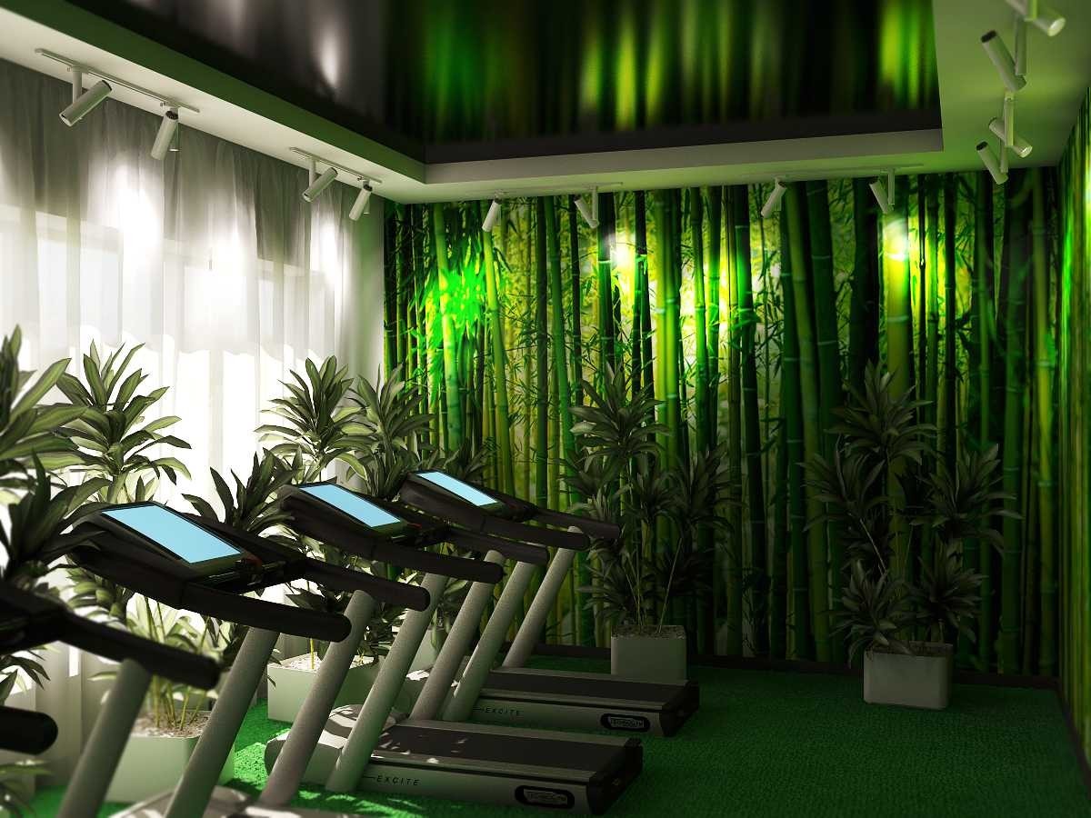 Фитнес-клуб у метро «ЧЕРКИЗОВСКАЯ/ЛОКОМОТИВ»: услуги, расписание, тренеры  – «Зебра»