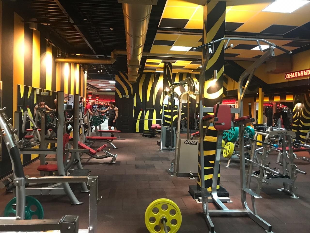 Фитнес-клуб у метро «ЧЕРКИЗОВСКАЯ/ЛОКОМОТИВ»: услуги, расписание, тренеры  – «Зебра»