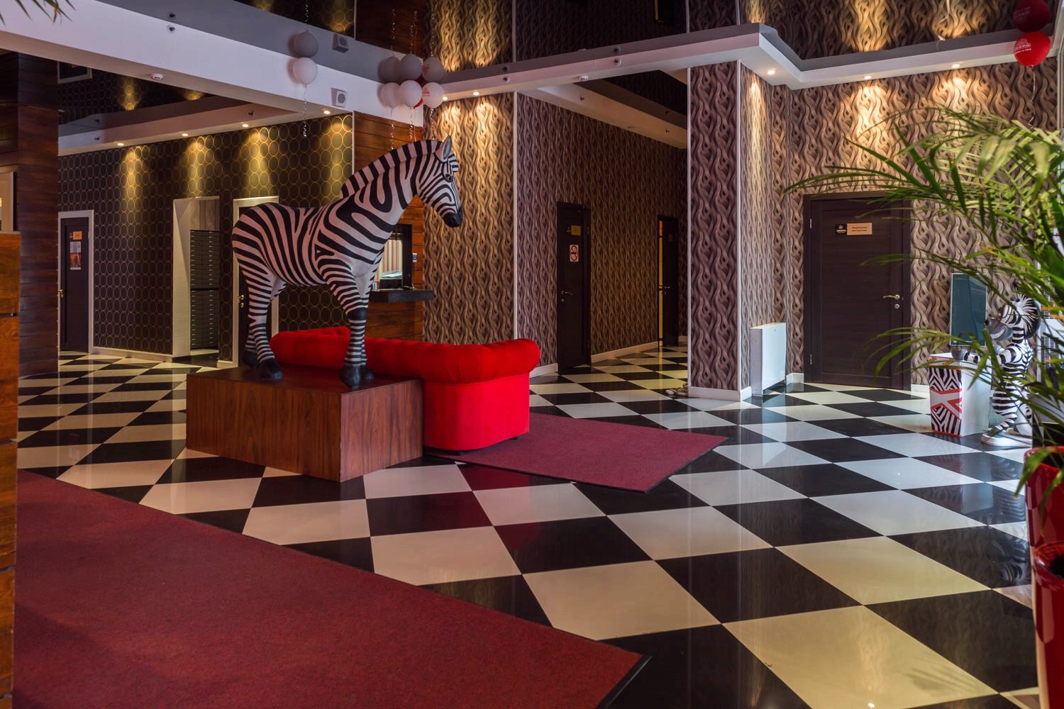 Фитнес-клуб у метро «Дубровка»: услуги, расписание, тренеры  – «Зебра»