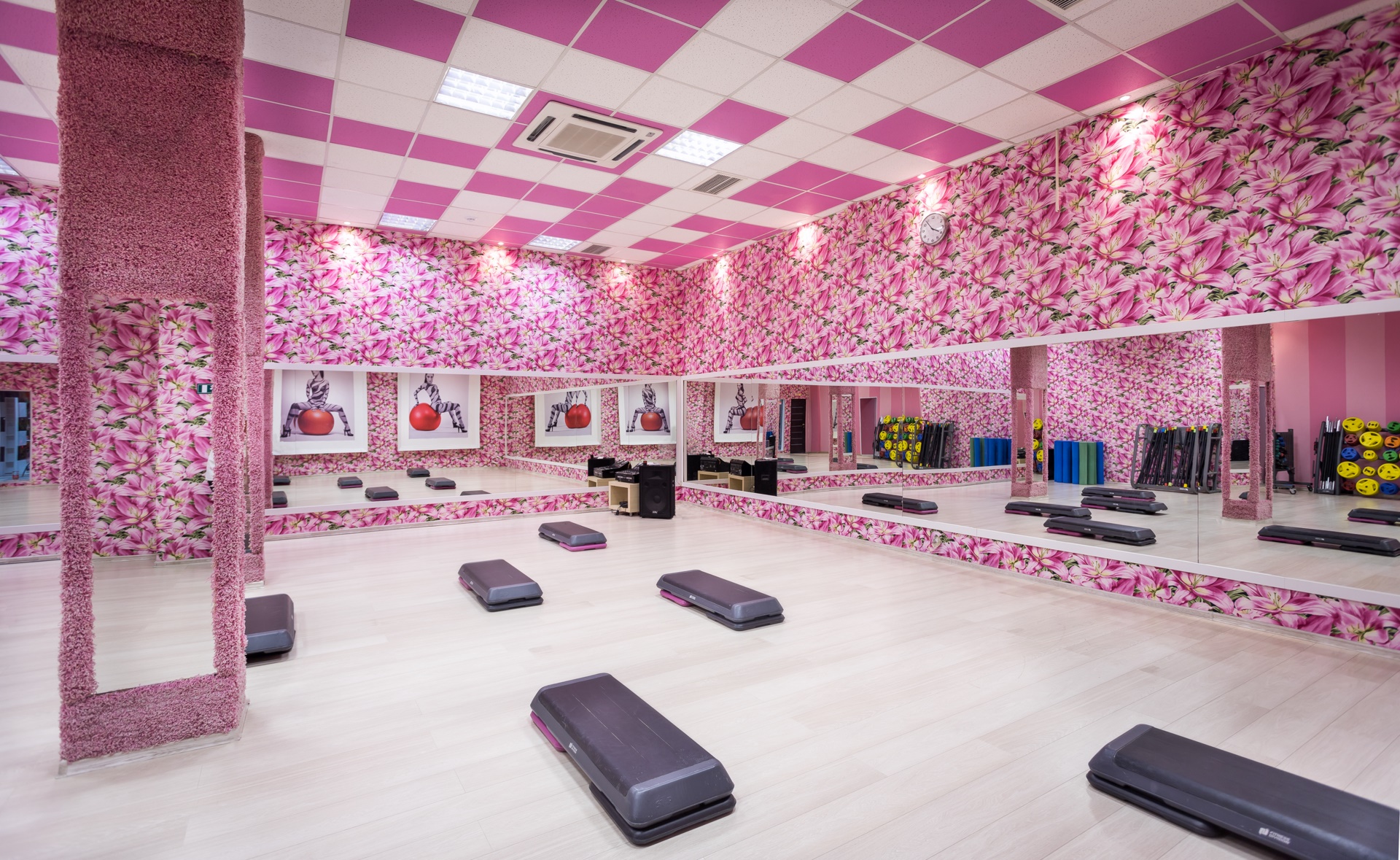 Фитнес-клуб у метро м. Калужская: услуги, расписание, тренеры  – «Зебра»