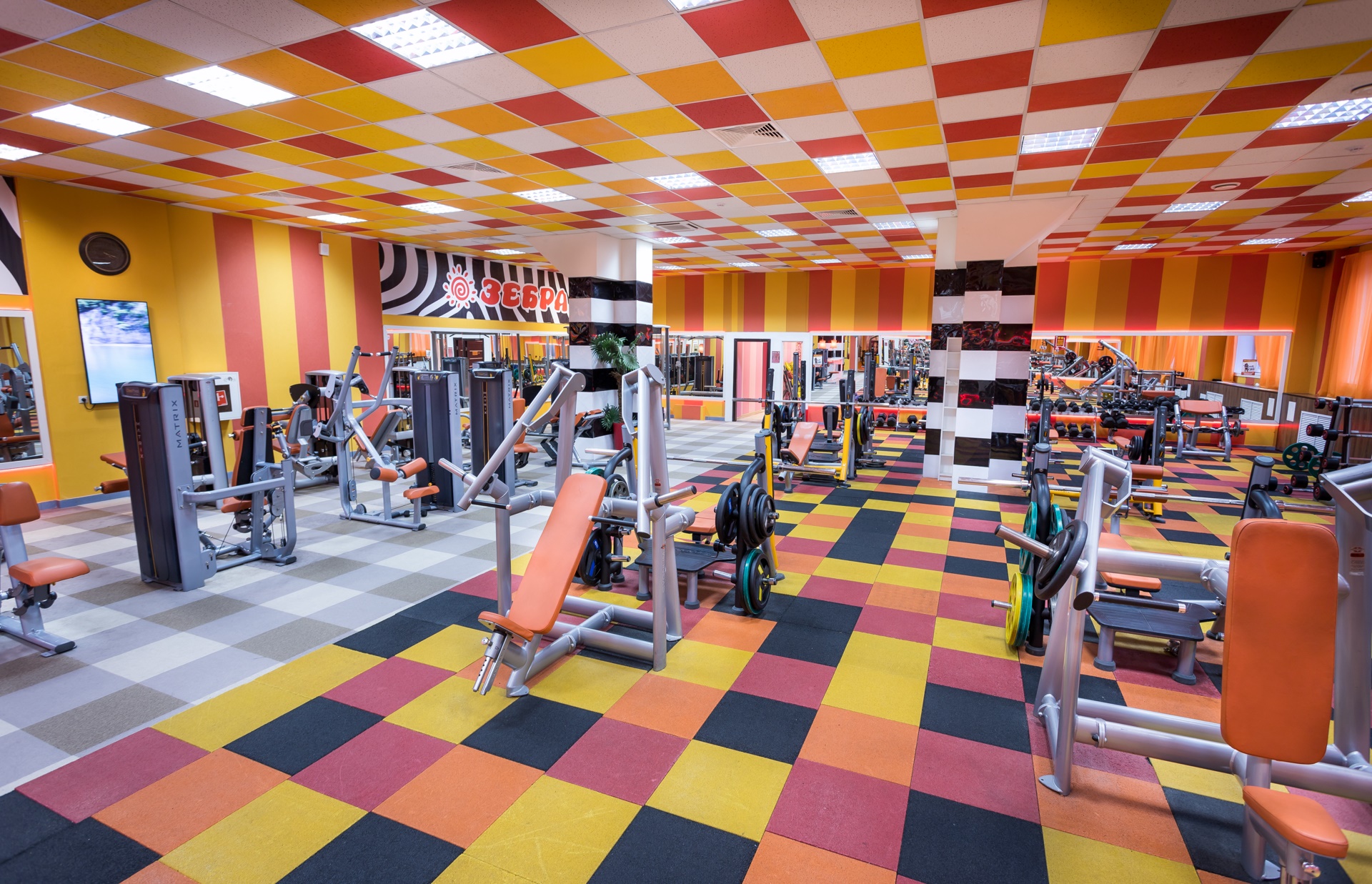 Фитнес-клуб у метро м. Калужская: услуги, расписание, тренеры  – «Зебра»