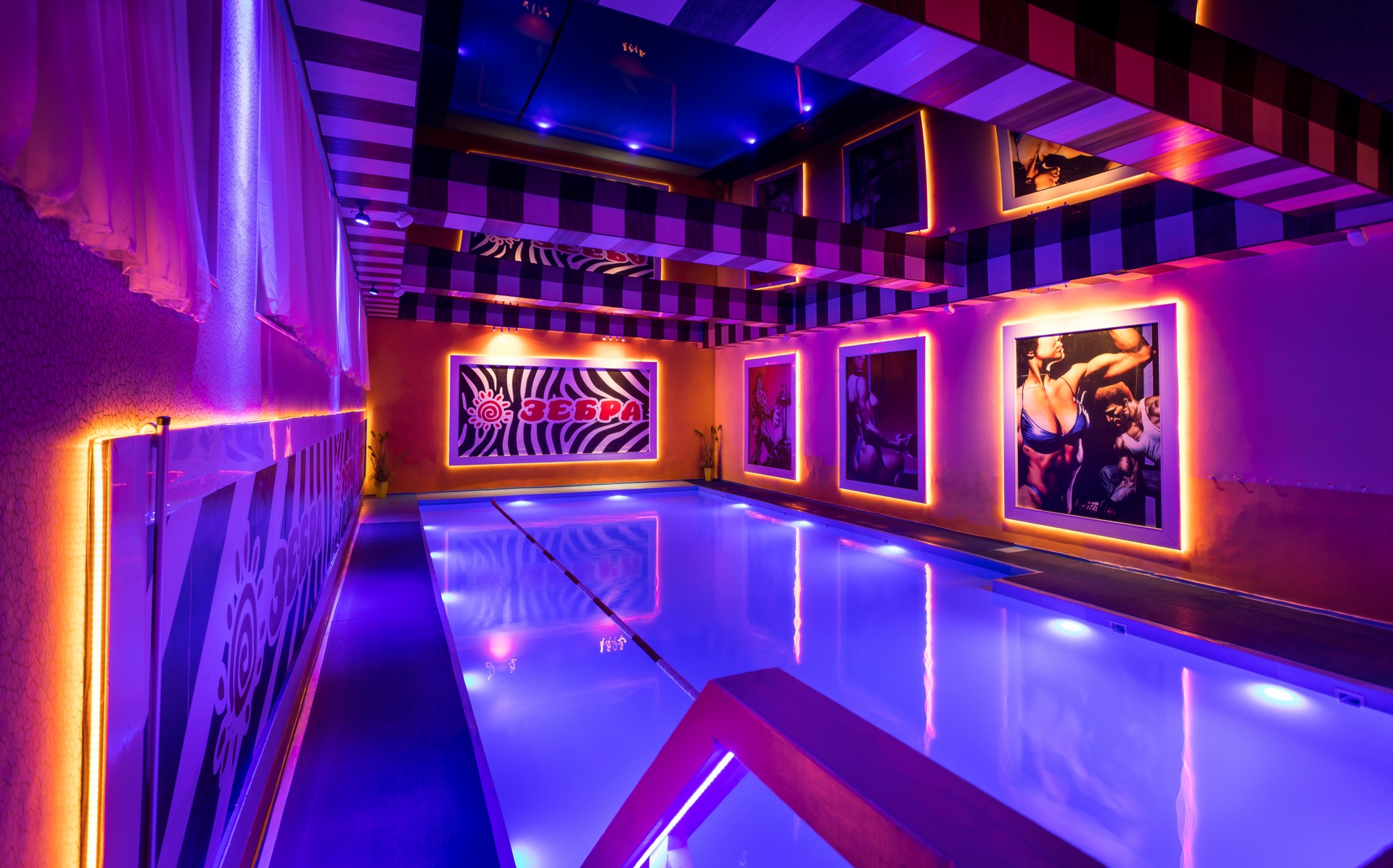 Фитнес-клуб у метро м. Калужская: услуги, расписание, тренеры  – «Зебра»