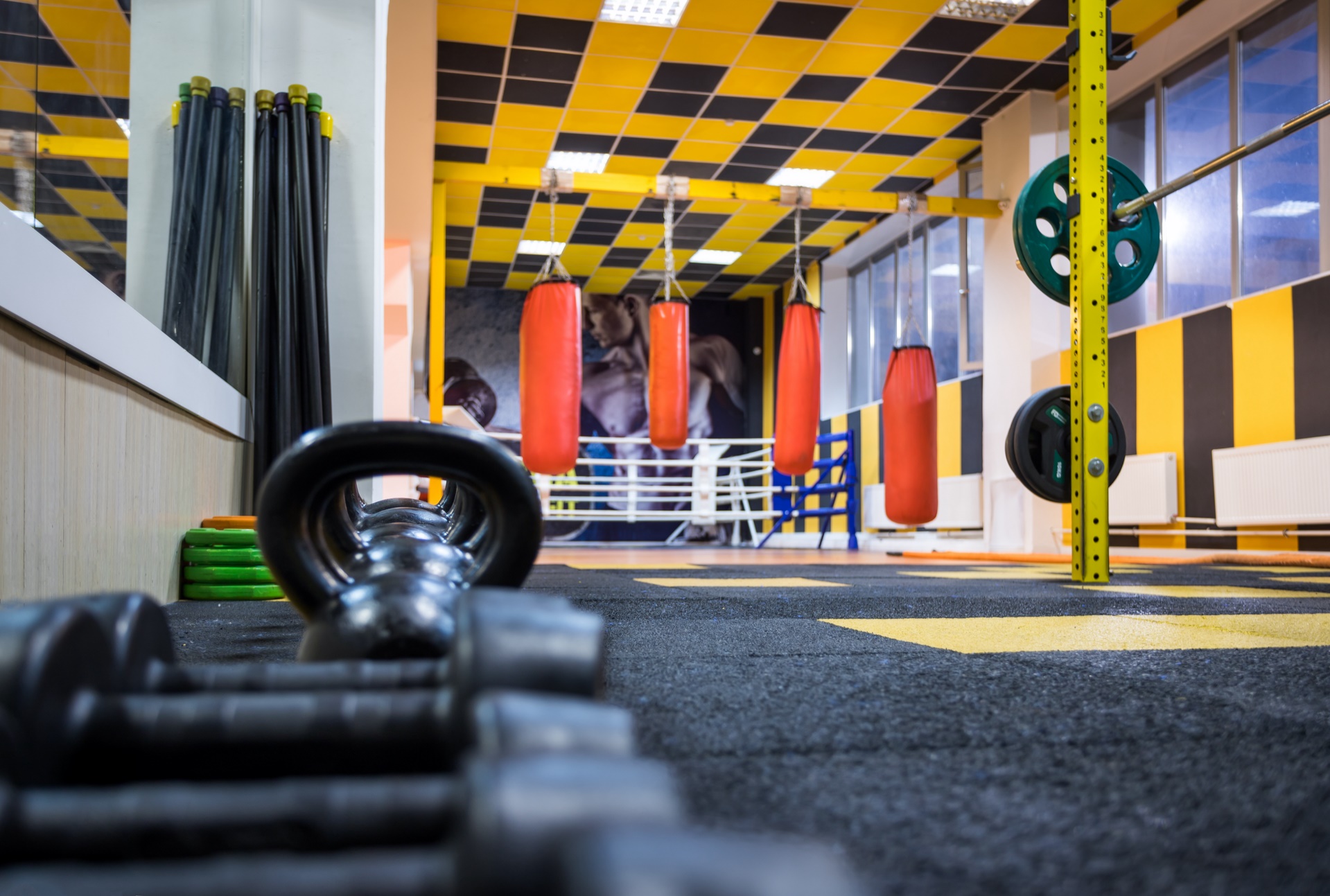 Фитнес-клуб у метро м. Калужская: услуги, расписание, тренеры  – «Зебра»