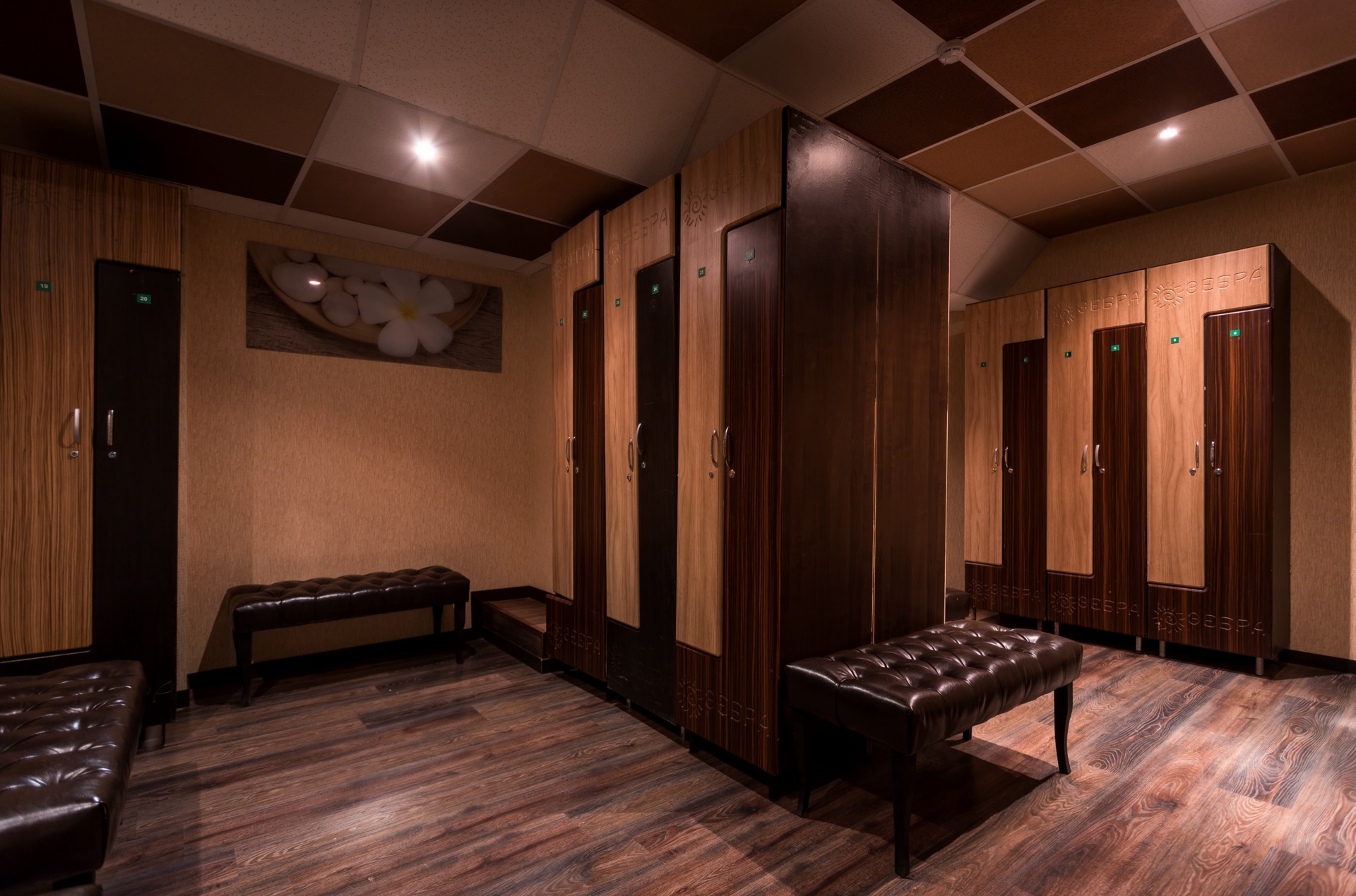 Фитнес-клуб у метро м. Калужская: услуги, расписание, тренеры  – «Зебра»