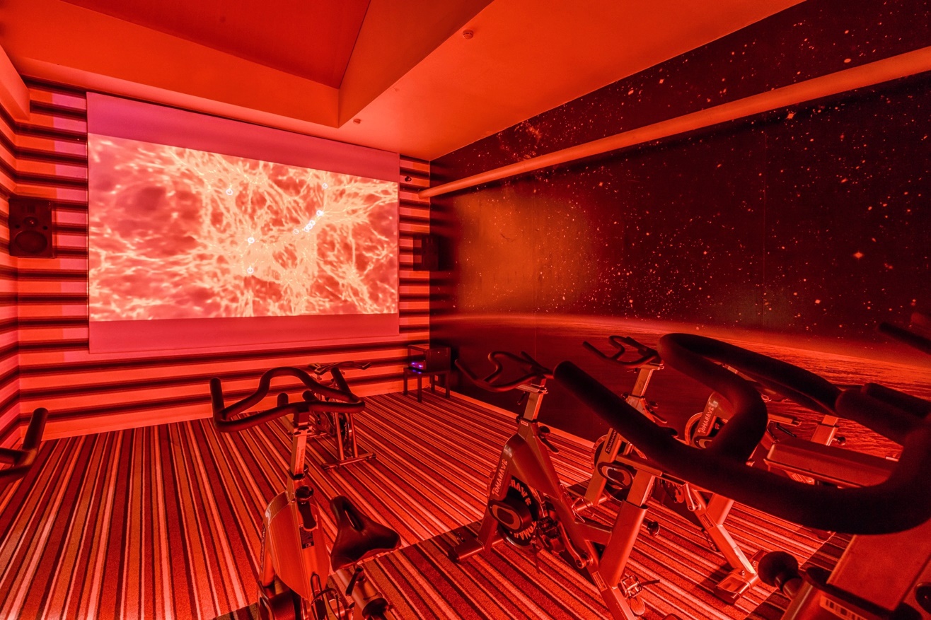 Фитнес-клуб у метро «Скобелевская»: услуги, расписание, тренеры  – «Зебра»