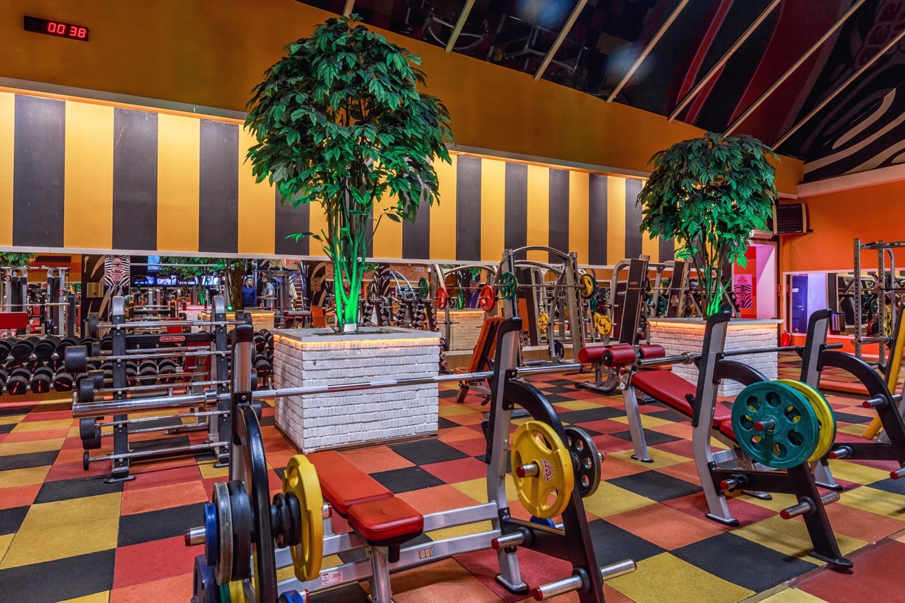 Фитнес-клуб у метро «Скобелевская»: услуги, расписание, тренеры  – «Зебра»