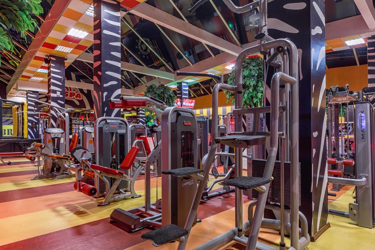 Фитнес-клуб у метро «Скобелевская»: услуги, расписание, тренеры  – «Зебра»