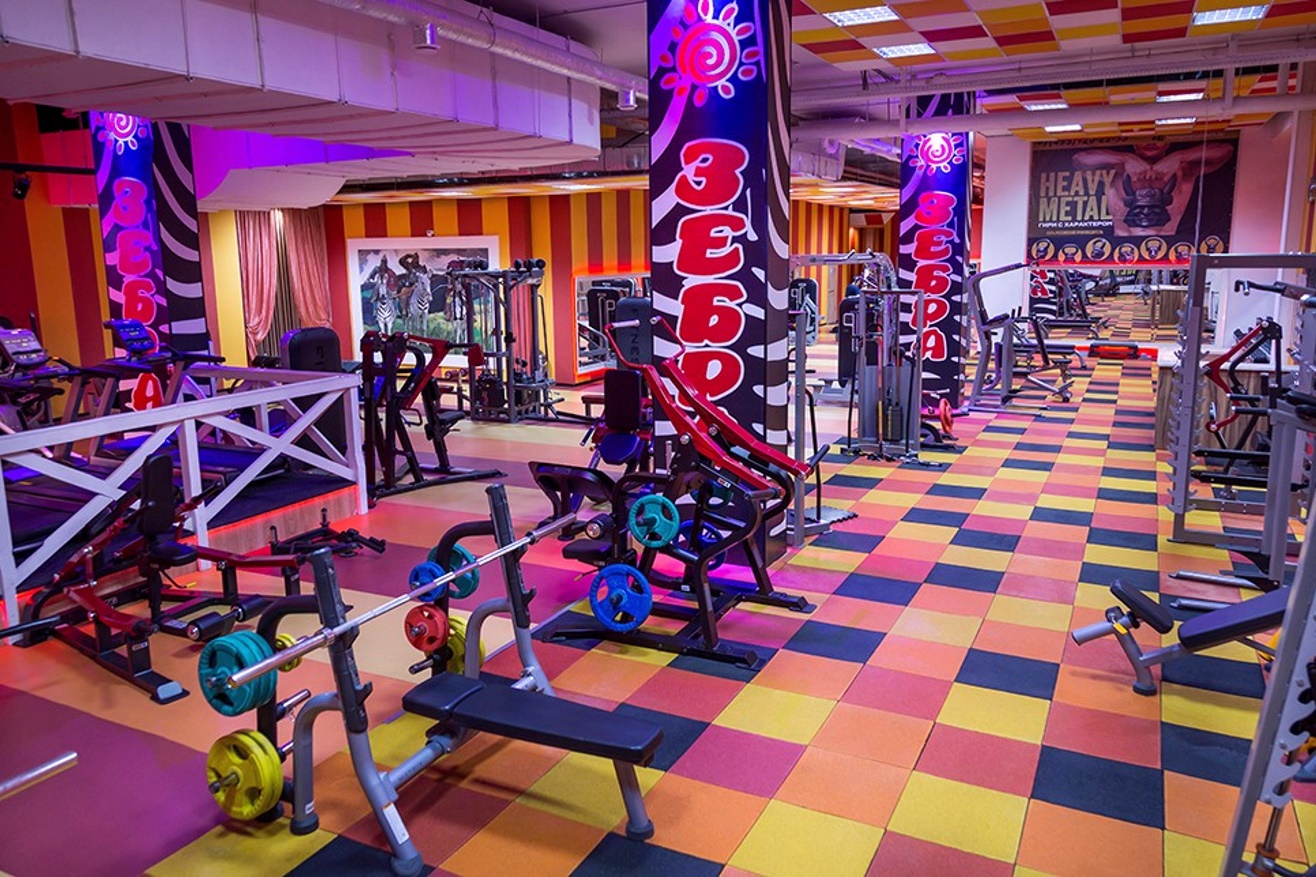 Фитнес-клуб у метро «Скобелевская»: услуги, расписание, тренеры  – «Зебра»