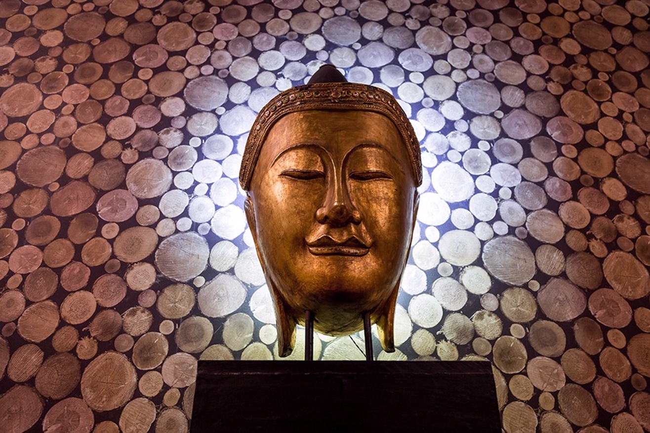 Фитнес-клуб у метро «Скобелевская»: услуги, расписание, тренеры  – «Зебра»