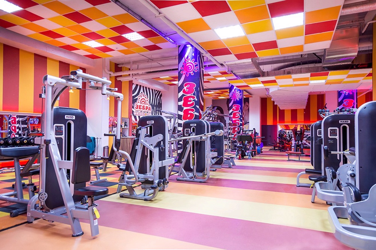 Фитнес-клуб у метро «Скобелевская»: услуги, расписание, тренеры  – «Зебра»