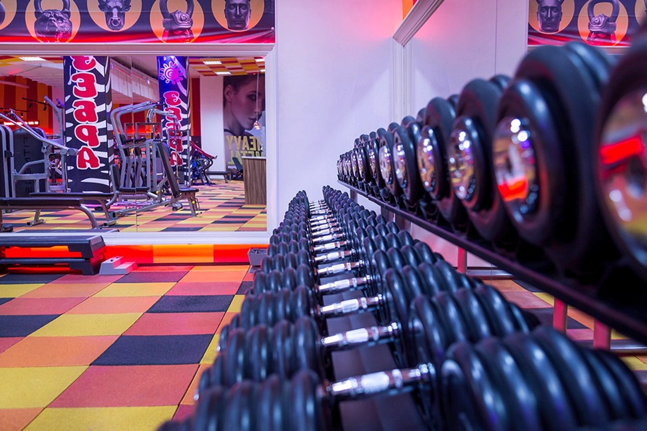 Фитнес-клуб у метро «Скобелевская»: услуги, расписание, тренеры  – «Зебра»